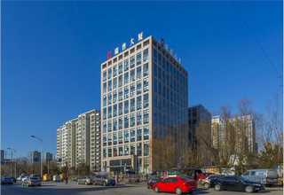 泉州蝴蝶兰租赁