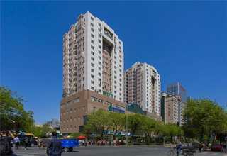 达州早熟禾草皮费用